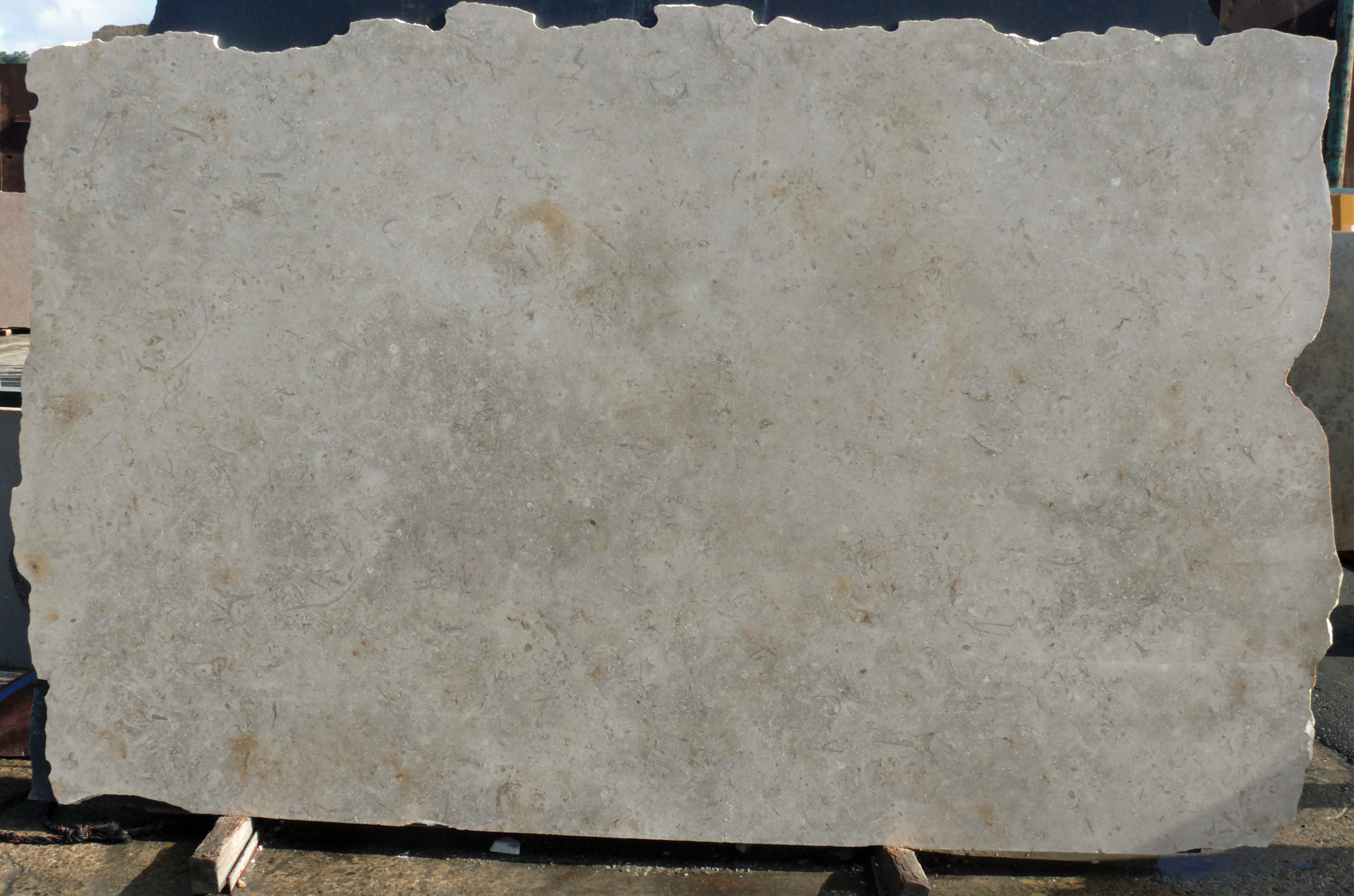 Jerusalem Gold Limestone Slab Grey Honed Israel Fox Marble