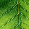 Learn about our sustainable stonework processes