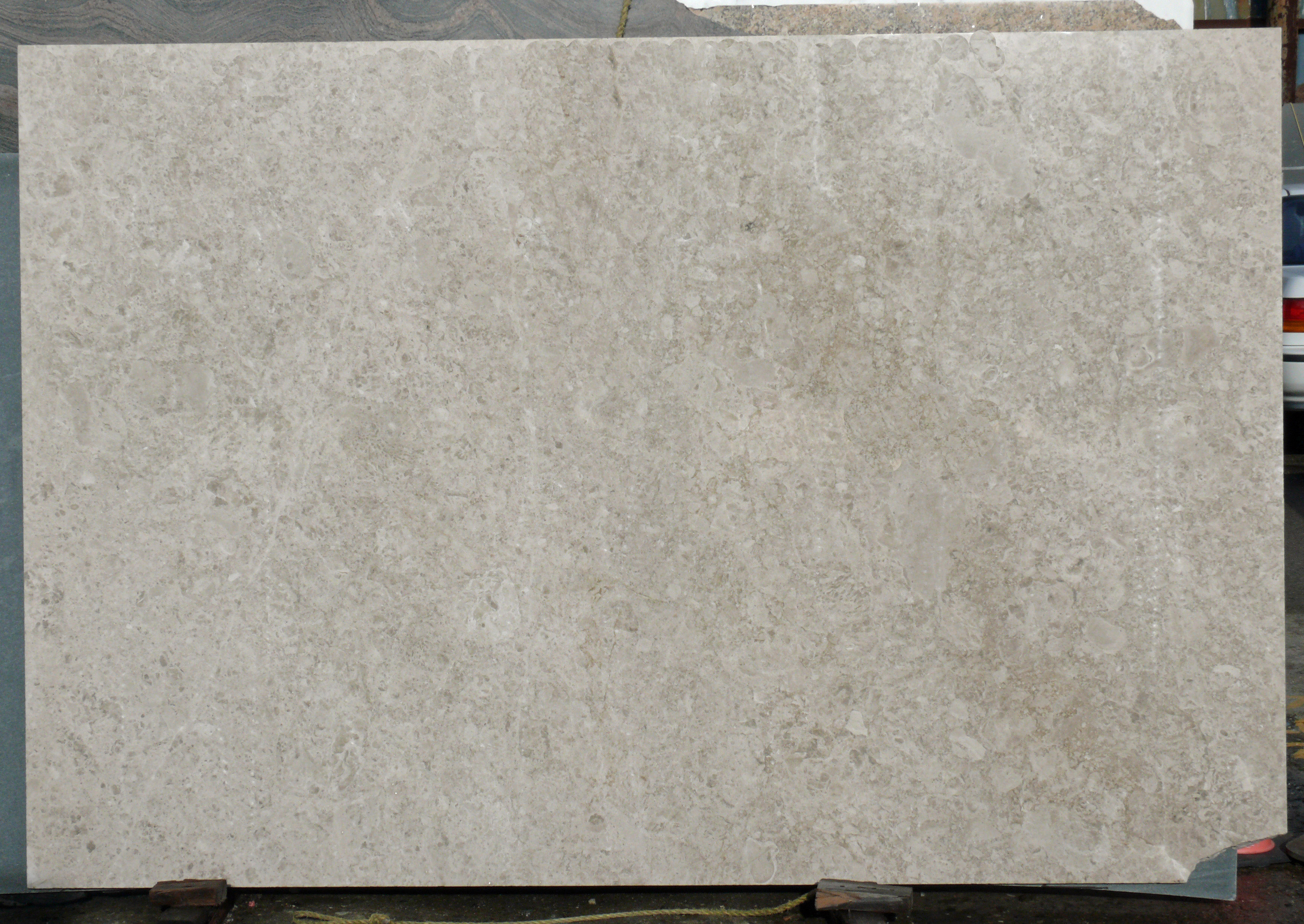 Ramon Grey limestone slab polished beige israel Fox Marble ramon-grey-limestone-slab-polished-beige-israel-fox-marble