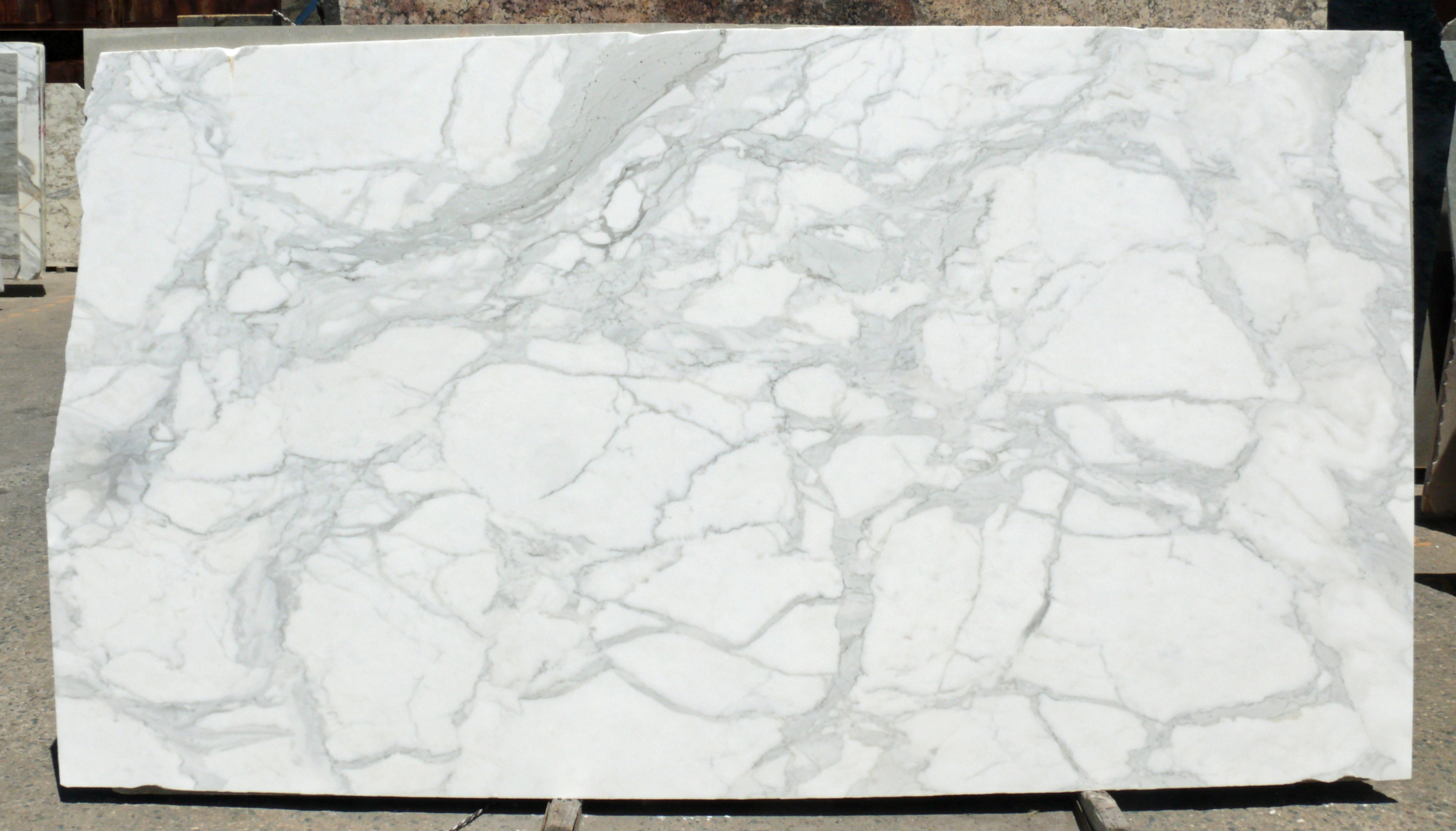 Calacatta Gold Select Slab Honed White Itlay Fox Marble Calacatta Gold Select Slab Honed White Itlay